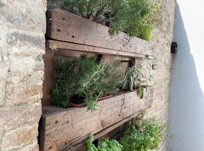 Al Ruderino Gasthof 3*